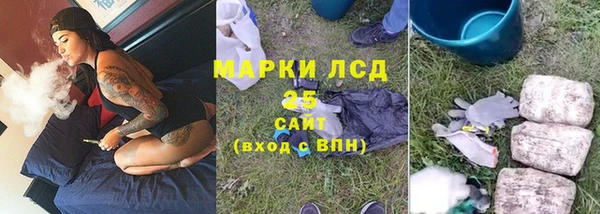 стафф Алзамай