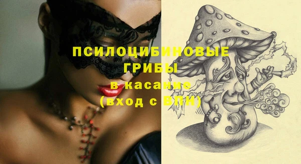 стафф Алзамай
