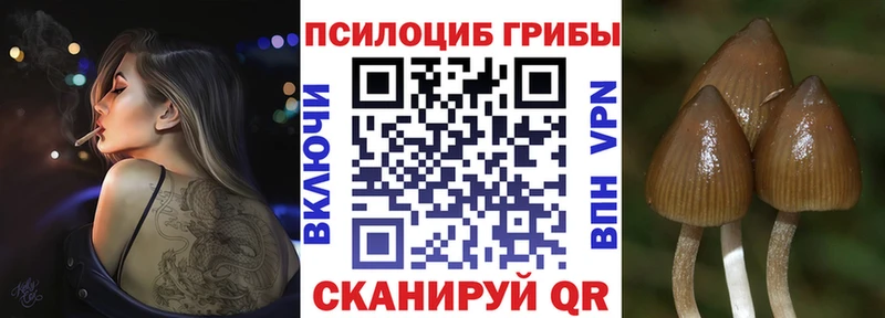 Купить закладки  Тихвин  Галлюциногенные грибы MAGIC MUSHROOMS 